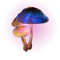 MushroomLogo001 BColor.png